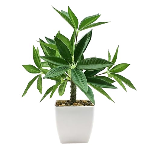 Image of KARP Artificial Potted Plants, 28Cm Height Faux Money Plant /Tree with White Pot Home Decor, Indoor Artificial Ornamental Plants for Living Room, Office Desk & Bathroom, Decorative