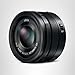 Panasonic LUMIX G Leica DG SUMMILUX Lens, 15MM, F1.7 ASPH, Professional MIRRORLESS Micro Four Thirds, H-X015K (USA Black)