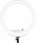 Westcott 18” Bicolore LED Kit de lumière de bague avec piles et Stand Professional Studio éclairage continu pour la photographie, la vidéoconférence, cheveux & Salons de maquillage, studios de tatouage, YouTube & TikTok | Haute précision des couleurs, 0-100 % de dimmer intégré, Inclu