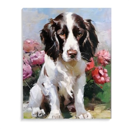 DIY Paint by Number for Adults Beginner Springer Spaniel Dog Paint by Number on Canvas DIY Oil Painting for Gift Home Wall Decor 12x16inch(30x40cm) Frameless
