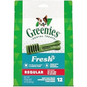 Greenies Regular Natural Dental Care Dog Treats Fresh Flavor, 12 oz. Pack (12 Treats) Greenies Regular Natural Dental Care Dog Treats Fresh Flavor 12 oz Pack 12 Treats