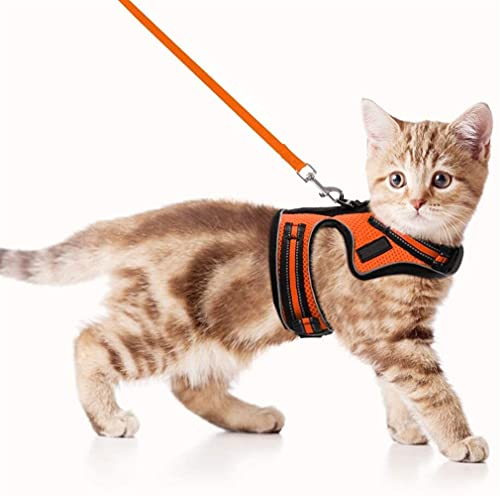 TYLC Harnais de Chat et Laisse Ensemble de la Promenade de Chat réfléchissant de Petit Chaton Moyen (Color : Orange, Size : M 25 39cm Chest) Cover