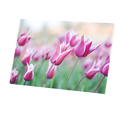 Fabulous Tableau Décoratif Toile Imprimée Affiche Poster Gros Plan Champ de Tulipes Rouges Vie Vegetale (60 cm x 40 cm)
