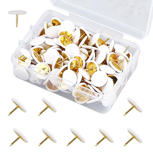 Lot de 150 punaises rondes blanches plates avec pointe en acier doré 10 x 10 mm pour tableaux en liège, murs photo et cartes