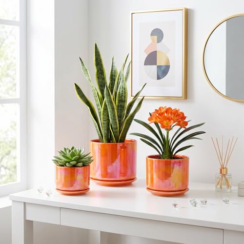 EFISPSS Ceramic Planter 8 Inch, Ceramic Plant Pots with Drainage Hole and Saucer, Indoor Modern Flower Pot for Home and Office Flower Pot - Blue by EFISPSS - Image 7