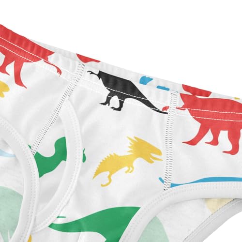 Dinosaur Toddler Boy's Underwear 2T 202c11364