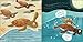 Tia the Turtle (Sea Stories)
