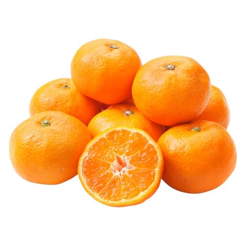 宇城市産 温州みかん 約3kg (S〜Lサイズ 約24〜35玉) 柑橘 果物 [2026年1月中旬〜3月中旬頃順次発送予定] 株式会社フレッシュダイレクト