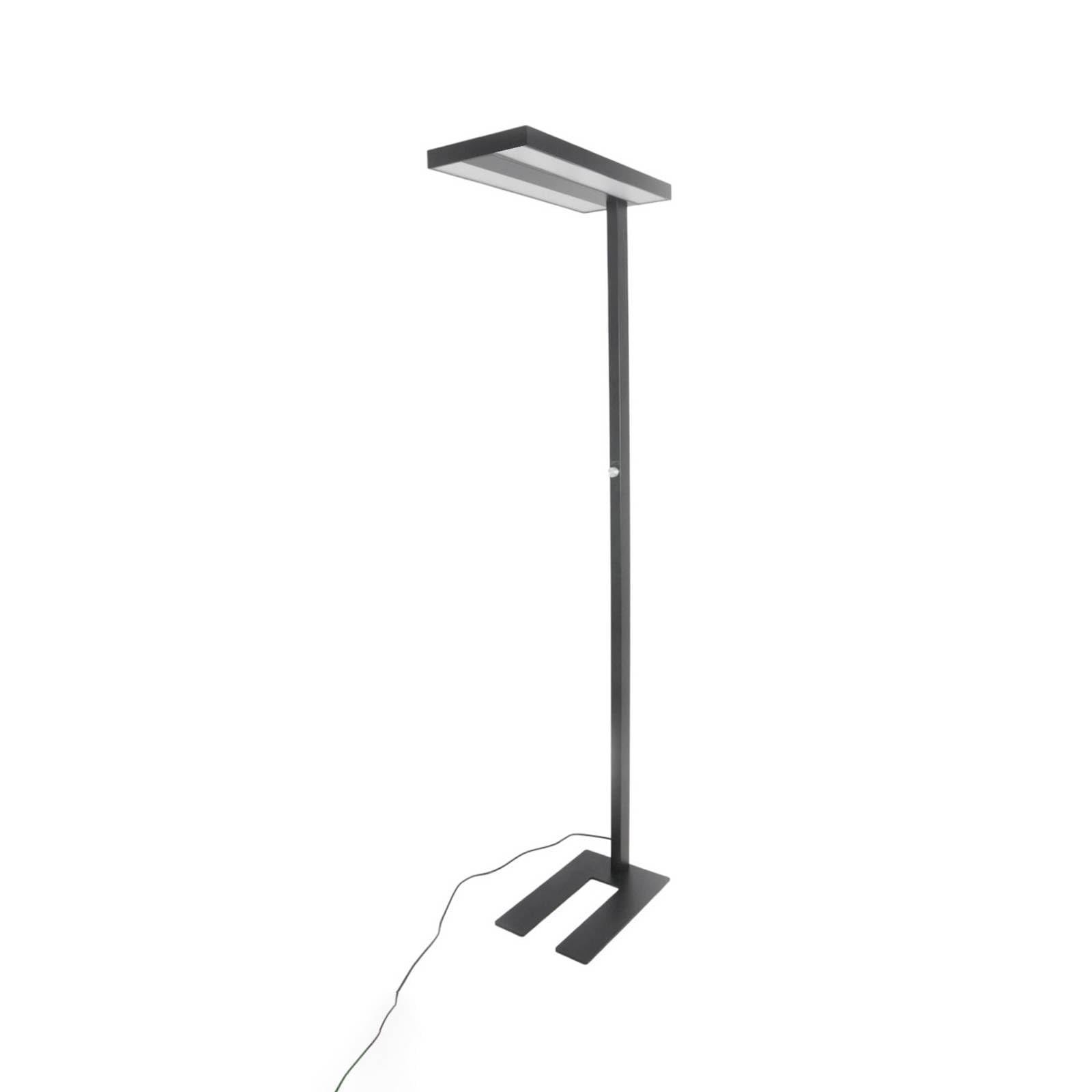 Arcchio Black, White Floor Lamp Logan Basic Dimmable (Modern) In Black Made Of Aluminium For E.g. Office & Workroom (2 Light Sources,) From Standard, Uplighter Business Lighting