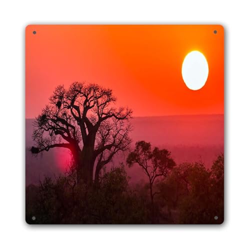 Vintage Metal Tin Sign Wall Decor,Sunrise With Baobab In Kruger National Park South Africa,Home Decor Bathroom Kitchen Wall Decor Poster 12x12 Inch