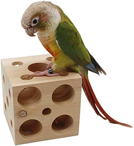 QBLEEV Bird Wooden Block Chewing Toy，Parrot Tabletop Puzzle Foraging Training Toys，Small Animals Shredding Biting Wood Teething Toy for Hamster Guinea Pig Parakeets Cockatiels Conures African Grey