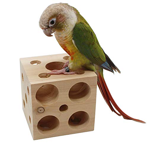 QBLEEV Bird Wooden Block Puzzle Parrot Chicken Foraging Toys, Small Animal Shredding Teething Parakeet Cockatiel Conure Budgie Cage Toys