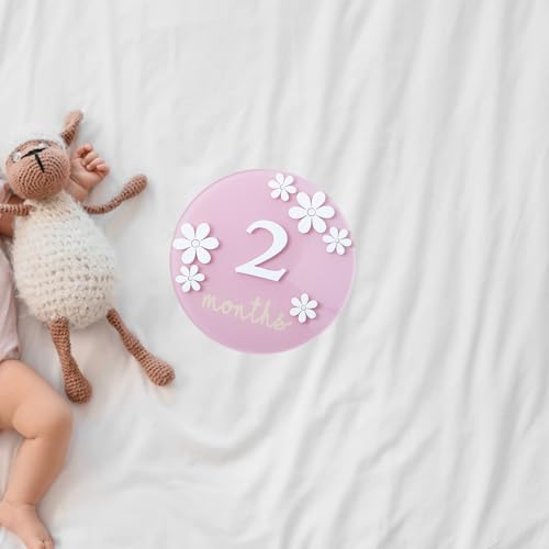 Image of Acrylic Daisy Baby Milestone Cards, 3D Baby Milestone Signs, 1-12 Months Interchangeable Monthly Milestone Sign, Baby Announcement Sign, Baby Photo Prop