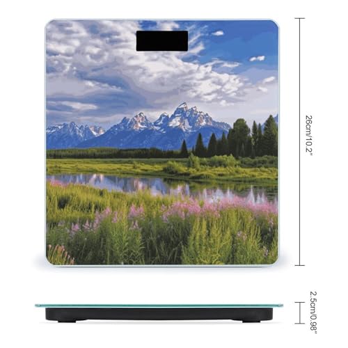 Báscula Digital para Baño Grand Teton National Park miniatura 2