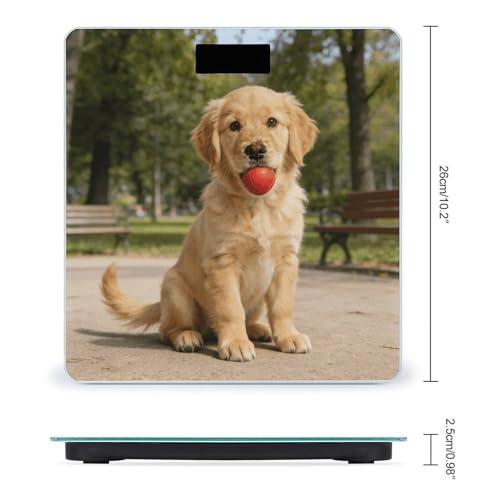 Báscula Digital para Baño con Diseño Golden Retriever miniatura 2