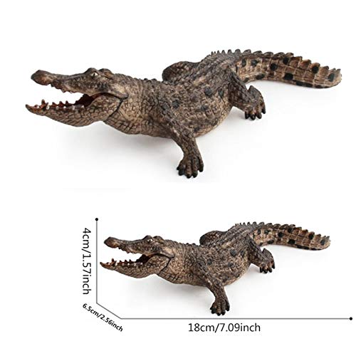 7.2Inch Model Figure Toy, Crocodile Figurine Animal Action Toys, Realistic Alligator Collection Figurines Educational Creatures Props, Wild Life Animal Figures Model Ornament Toys #TOP7