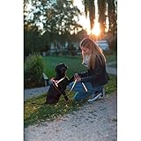Kerbl Pet 81058 Norweger Geschirr reflektierend 20mmx60-75cm, 0.094 kg