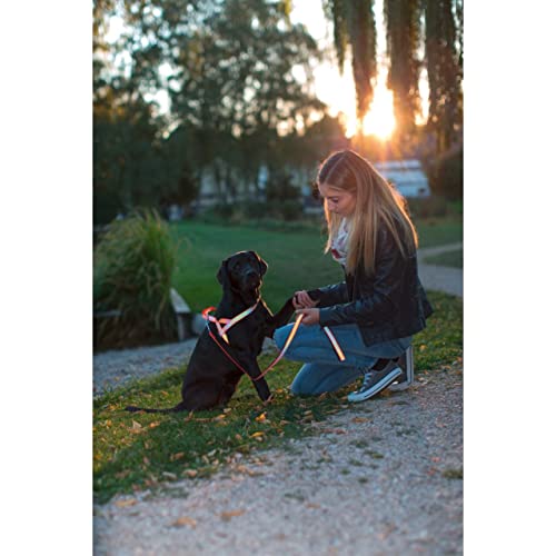 Kerbl Pet 81058 Norweger Geschirr reflektierend 20mmx60-75cm, 0.094 kg