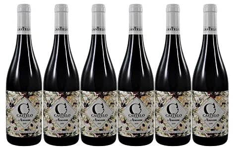 6 Flaschen Castelo Nouveau 2019 von Castelo de Medina im Sparpack (6x0,75l), trockener Rotwein aus Rueda Cover