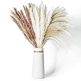 Dried Pampas Grass, 60 Pcs Natural Pampas Grass with 3 Colors Fluffy Swinging DIY Boho Plant 17' Small Flower Bouquet Decorative Flora Arrangement Home Decor for Living Room Balcony Wedding Party
