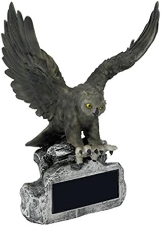 Vista 18 de SHOP AWARDS AND GIFTS Trofeo de mascota, premio personalizado grabable personalizable para reconocimiento de empleados, ventas principales, trabajo