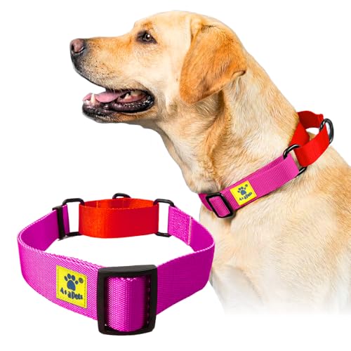 Image of A+a Pets' Martingale Dog Collar | No Pull Design, No Neck Strain, No Choke Design | for Large & Medium Dogs | Rust Free, Waterproof Nylon Training Collar (Pink & Red)