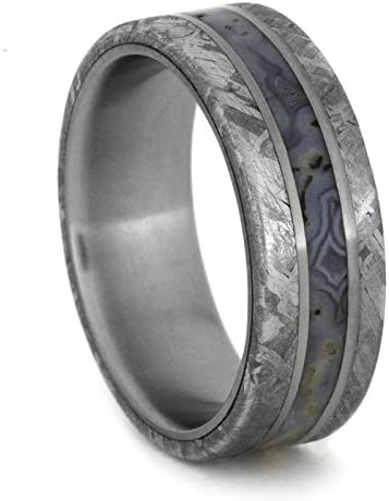 Dinosaur Bone Ring with Meteorite and Titanium Pinstripes