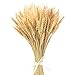 Faux wheat stems