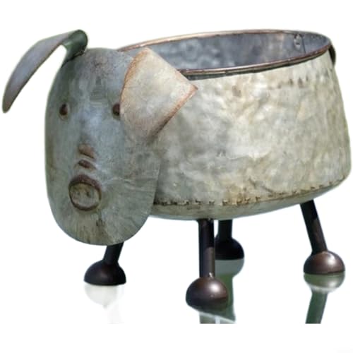 Pot d'animal argenté pour fleurir une cour au style rustique