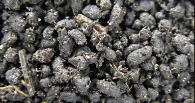 Nitro Blast - Nitrogen Soil Amendment Blend (5 Gallon Bucket)