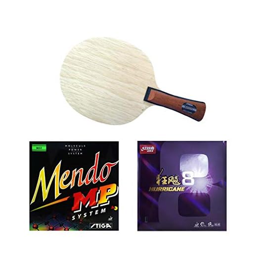 Raquete profissional de tênis de mesa Pingponghouse nº 2