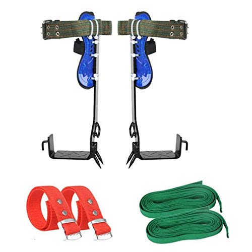 Best Tree Climbing Gear For Rent 10Reviewz