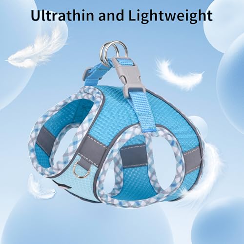 AIITLE Hundegeschirr und Leine Set, No Pull Schritt in Welpengeschirr mit Super atmungsaktivem Mesh, einstellbare reflektierende Welpen Essentials für die Ausbildung für kleine Hunde, Katzen Blau XS