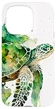 Turtle Merch