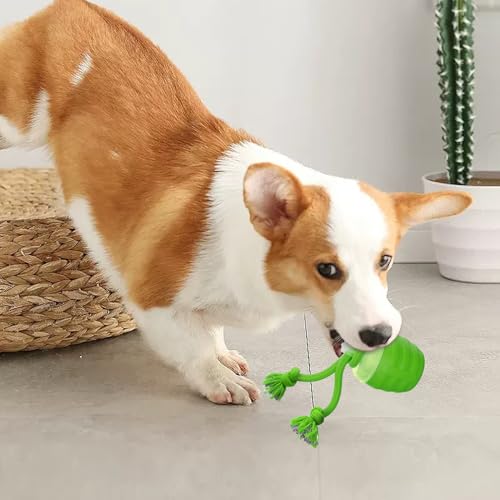Balle interactive pour chats : l'activité idéale durant vos absences - 6