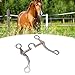 Horse Snaffle Stainless Steel,All Purpose Ring Snaffle Bit, Horse Bit with Roller ,Horse Racing Accessory Loose Thickeness Bit Loose Mouth Bit for Horse Racing, frenos para caballos horse bits sn