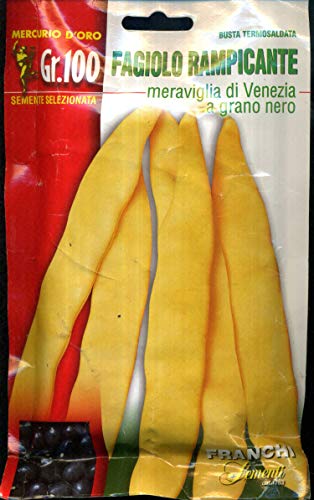 Franchi sementi semi di fagioli e fagiolini nani e rampicanti in confezioni varie (rampicante meraviglia di venezia a grano nero, 100 grammi)