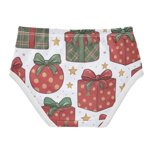 Elastic Waistband Girls' Panties Organic Underpants for Girls Gift Boxes in Sizes 2T,3T, 4T, 5T, 6Y and 8Y2