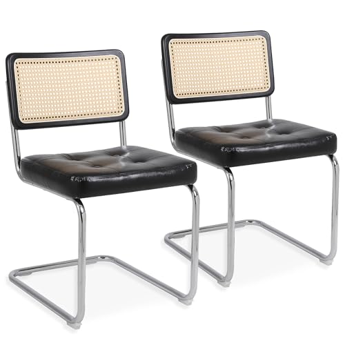 SEEDWAVE Freischwinger Stuhl 2er Set, Retro Vintage Stil,...