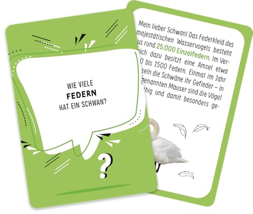 was schätzt du? - Verrückte Welt: Die ultimative Quiz-Challenge mit kniffligen Schätzfragen | Kartenspiel mit Quizfragen zu unnützem Wissen - ab 10 Jahre