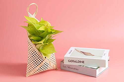 Powerlap Pro 2 Pack Woven Basket Handmade - Plant Basket - Hanging Basket For Plant Pot Cover And Storage - Bamboo Basket Small Natural Bamboo Woven Basket Weave Hanging Planters #TOP4