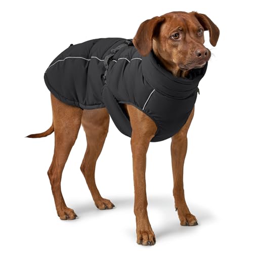 HUNTER Hundemantel Paxson, Farbe: schwarz, stylischer Puffermantel, wasserabweisend, reflektierende Details, idealer Sitz, warme Wattierung, maschinenwaschbar, Größe: 40