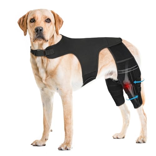 Pawfun Dog Knee Brace for Torn ACL Hind Leg, Adjustable Dog Leg Braces for Back Leg with 4 Metal...