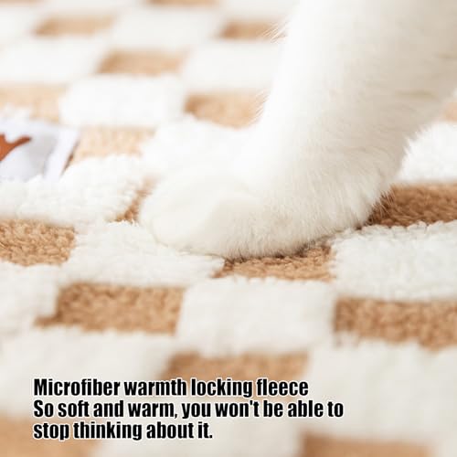 Lit pour chat avec tunnel et tapis de jeu modulable pour intérieur - 6