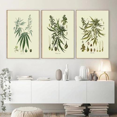 Láminas sobre lienzo de cuadros para pared con motivos botánicos vintage de salón 60x70cm