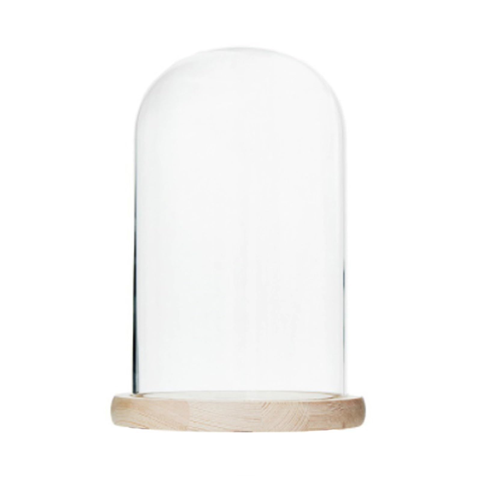 Wyqxty Beige Clear Glass Cloche Display Glass Cloche Dome Preserved Dried Flower Display Wooden Base