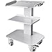 VEVOR 3 Böden Weiß Servierwagen Stahlplatte Serving Lab Trolley Laborwagen Tragbar Abräumwagen Medical Dental Lab Cart Transportwagen Rollwagen Medizinisch Universalräder 2 Fußbrem ul001