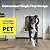 PetSafe Never Rust Dog and Cat Door, Small, for Pets Up to 15 lb, Paintable, Easy DIY Installation, Closing Panel Included, Install in Interior and Exterior Doors or Walls, Durable, Adjustable Flap