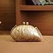 Acrylic Shell Clutch Purse for Women Fashion Acrylic Evening Bag Unique Shape Acrylic Crossbody Bag for Wedding Party Prom 2025 New