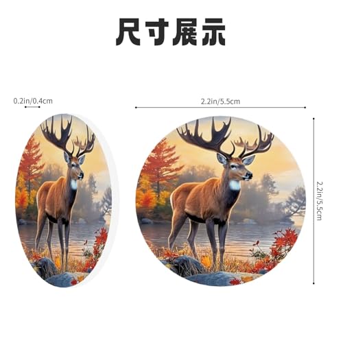 Imán Decorativo Redondo para Refrigerador en Acrílico miniatura 5